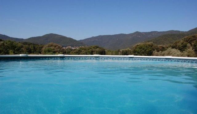 Gites Chalets De Grosseto-Prugna المظهر الخارجي الصورة